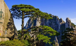 團建|魅力初秋，歡歌同行 -2019鑫創(chuàng)夏令營